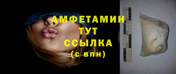 шишки Приозерск