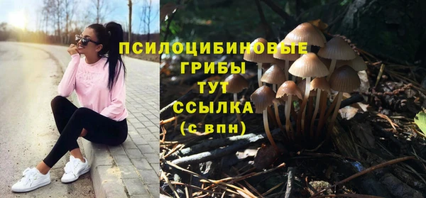 шишки Приозерск