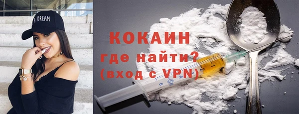шишки Приозерск
