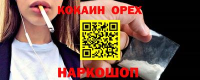мдпв Кингисепп
