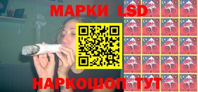 мдпв Кингисепп