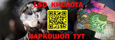 мдпв Кингисепп
