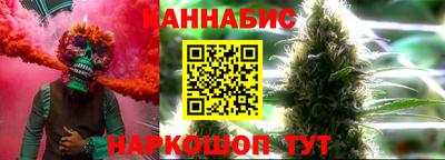 мдпв Кингисепп