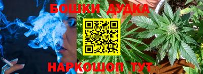 мдпв Кингисепп
