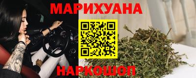 мдпв Кингисепп