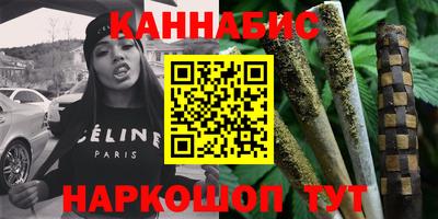 мдпв Кингисепп