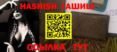 мдпв Кингисепп