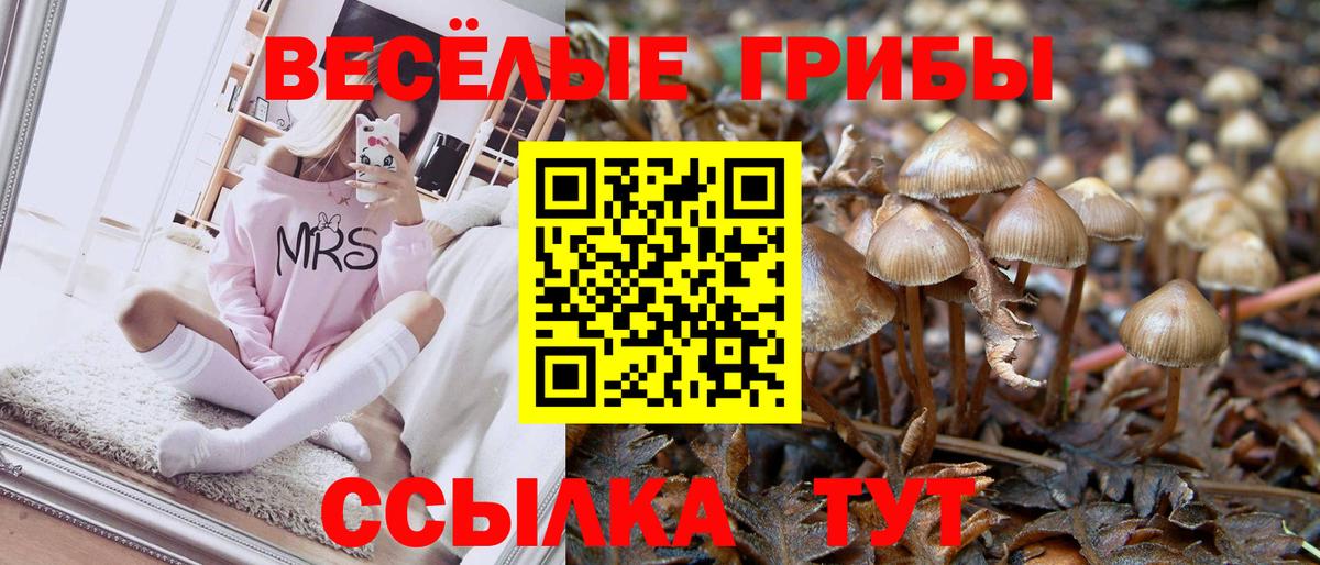 цена наркотик  Галлюциногенные грибы ЛСД  Вход с VPN  Магадан 