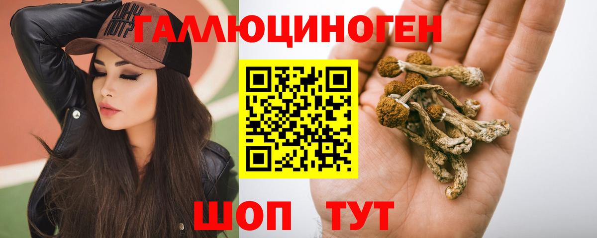 Галлюциногенные грибы прущие грибы Магадан